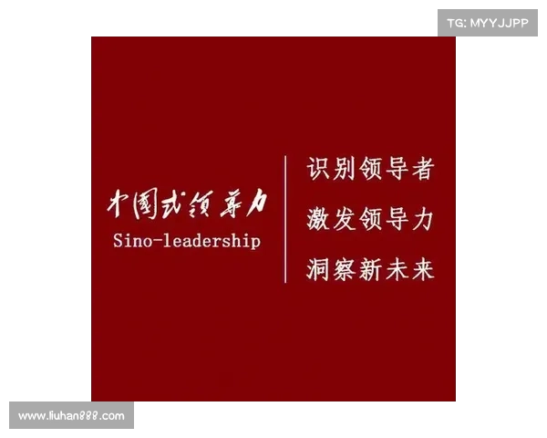 尼旦岚斯:探索数字时代的创新领导力与未来趋势 尼旦岚斯:探索数字时代的创新领导力与未来趋势